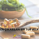 Alglerden Çıkarılan Bir Tür Jelatin Nedir?