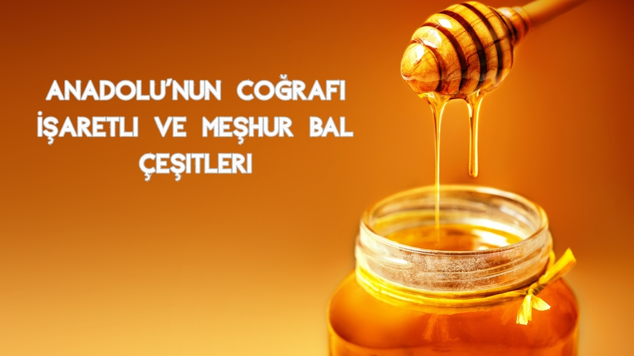 Türkiye'de Üretilen Bal Çeşitleri: En Popüler ve Şifalı Türler