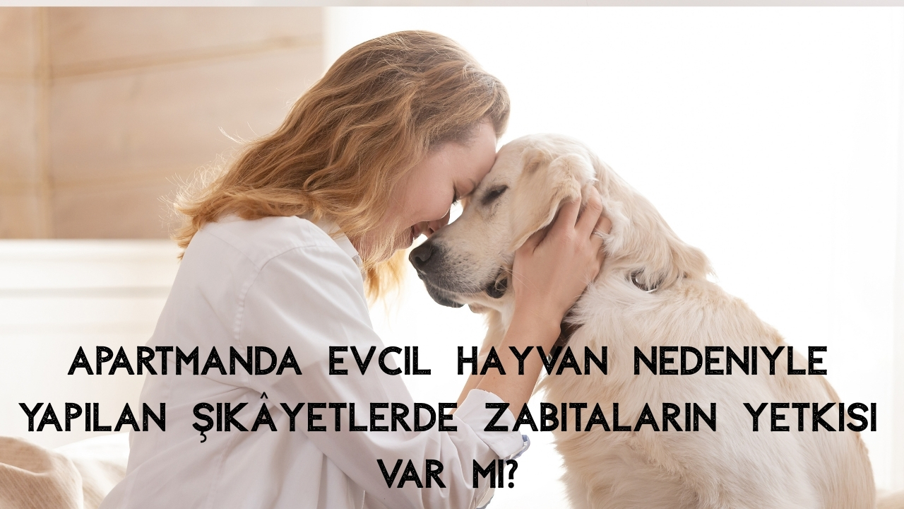 Zabıta Apartman Kuralları Nelerdir? Şikâyet ve Denetim Süreci (2026 Rehberi)