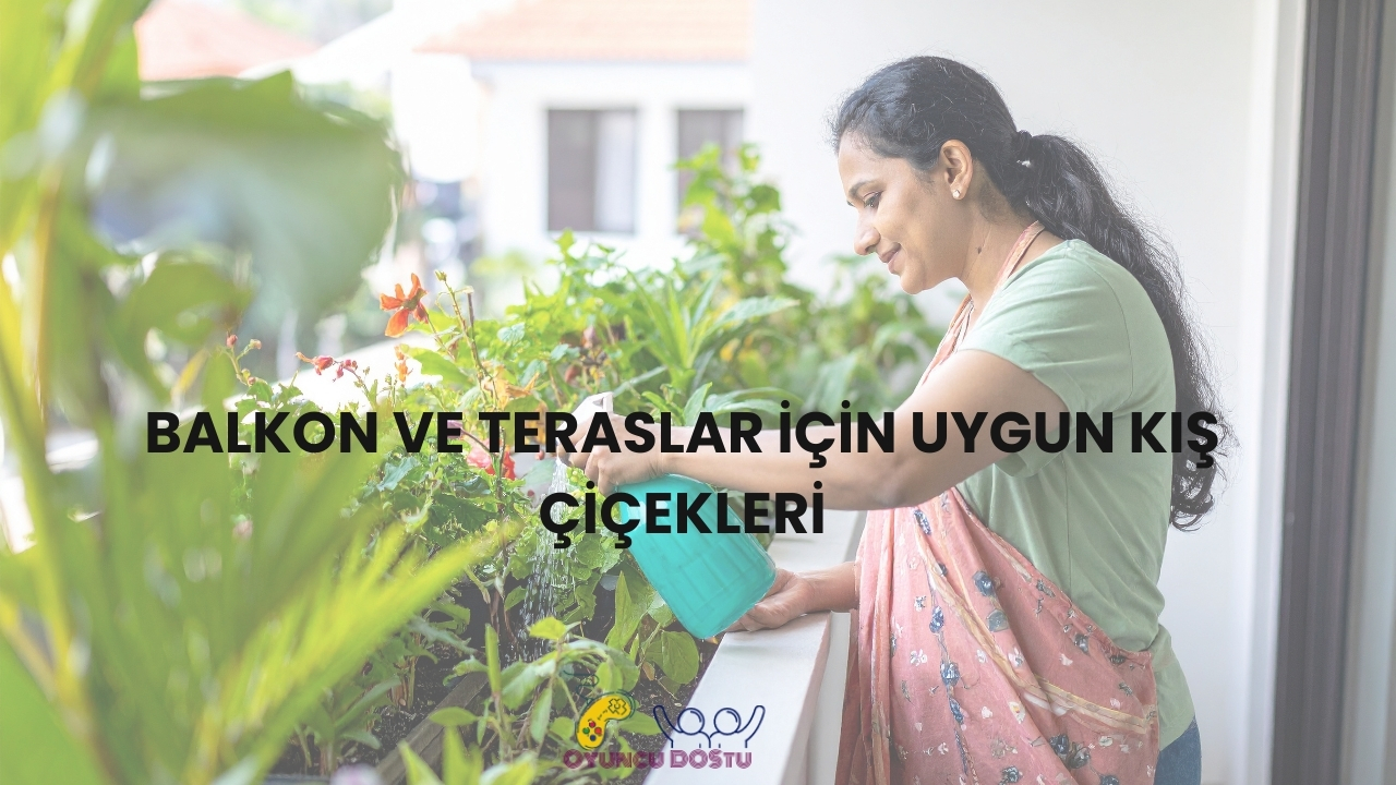 Dış Mekan Kış Çiçekleri Nedir?