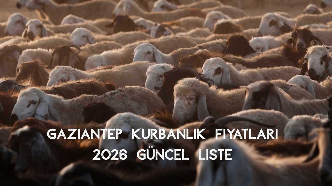 Gaziantep Kurbanlık Fiyatları 2026