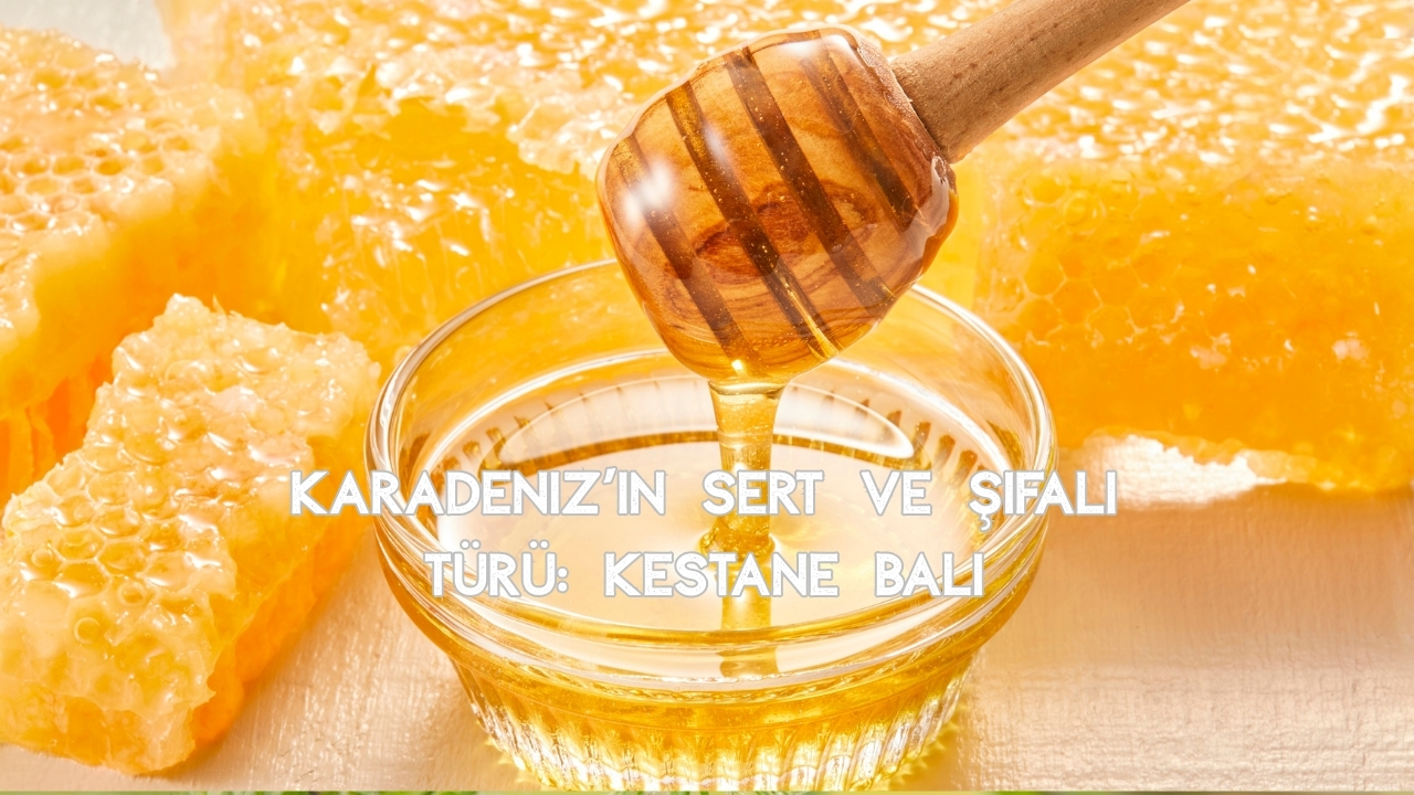 Türkiye'de Üretilen Bal Çeşitleri: En Popüler ve Şifalı Türler