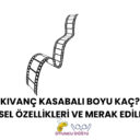 Kıvanç Kasabalı Boyu Kaç? Fiziksel Özellikleri ve Merak Edilenler