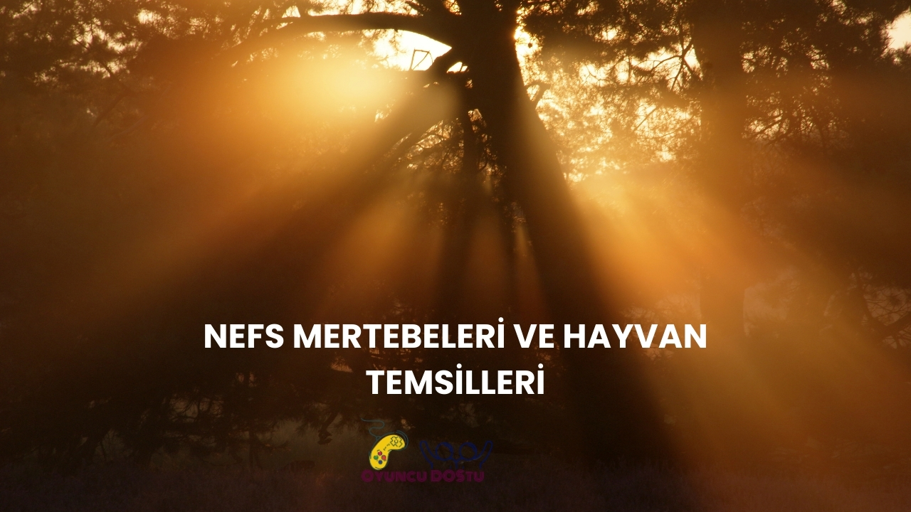 Tasavvufta Hangi Hayvan Neyi Simgeler?