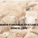 Osmaniye Kurbanlık Fiyatları 2026 Güncel Liste