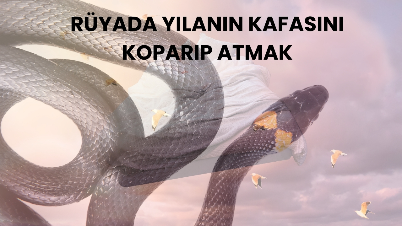 Rüyada Yılanın Kafasını Koparmak Ne Anlama Gelir?