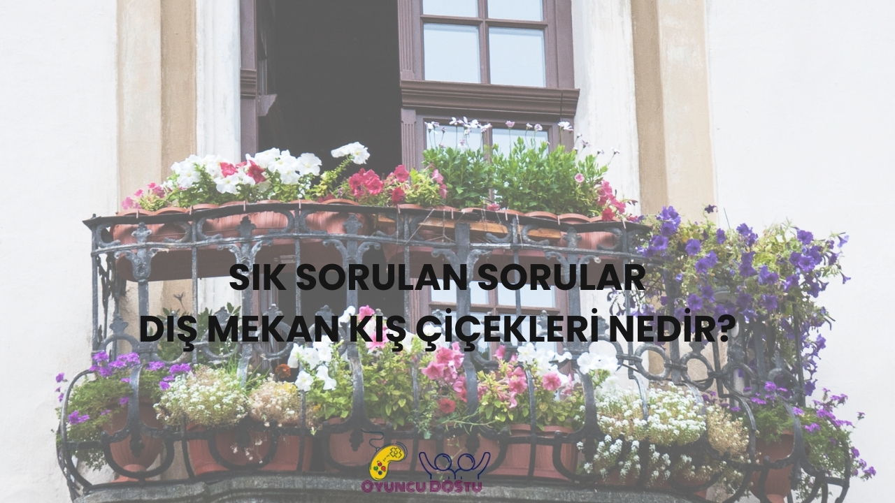 Dış Mekan Kış Çiçekleri Nedir?