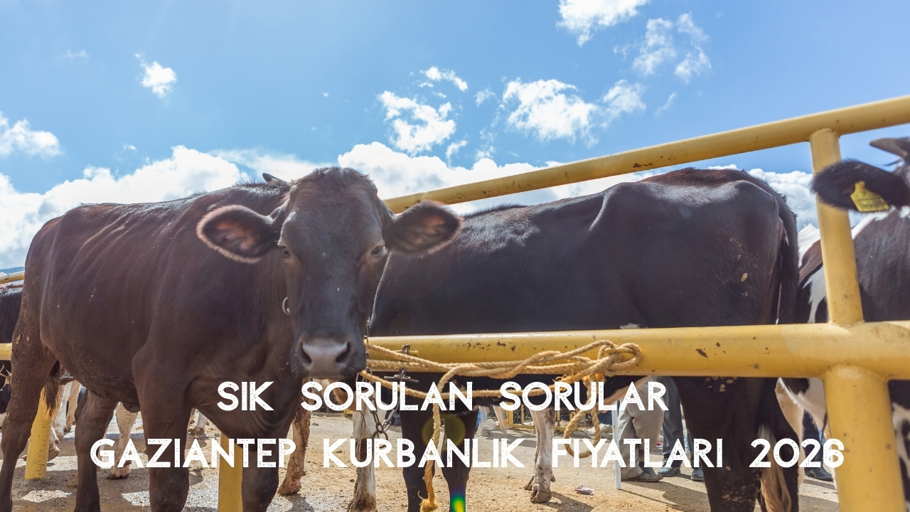 Gaziantep Kurbanlık Fiyatları 2026