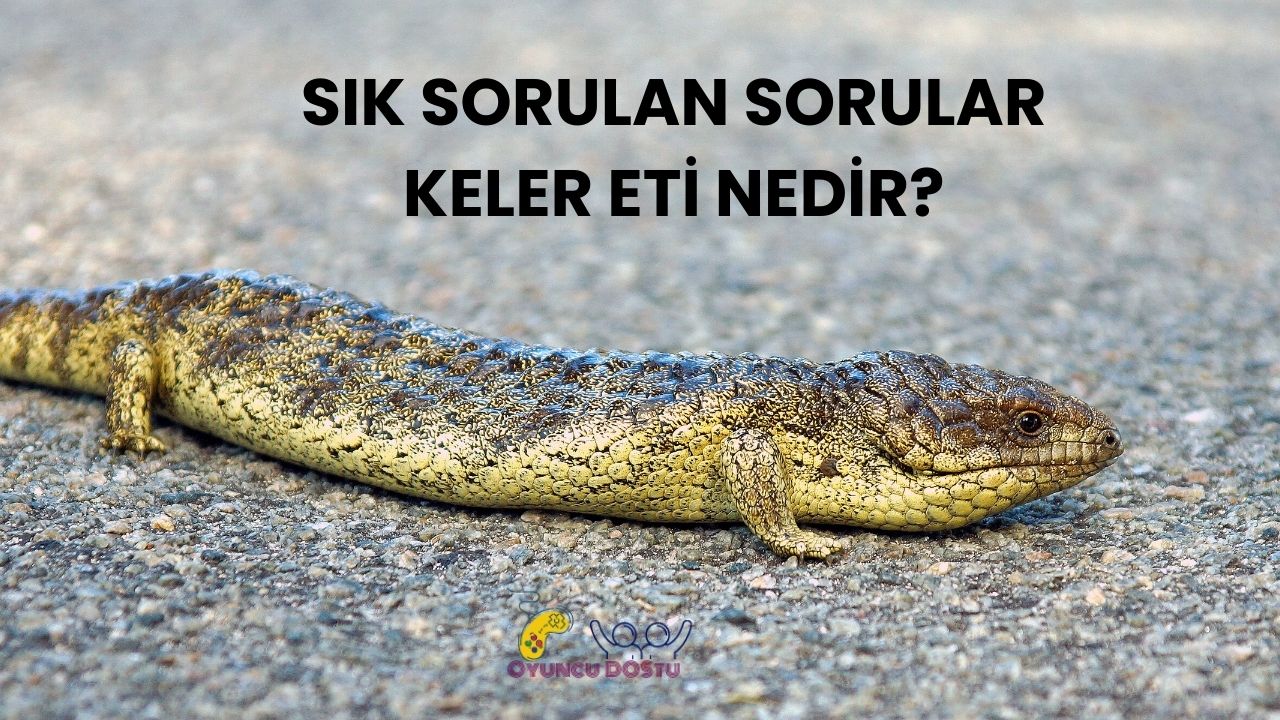 Tasavvufta Hangi Hayvan Neyi Simgeler?