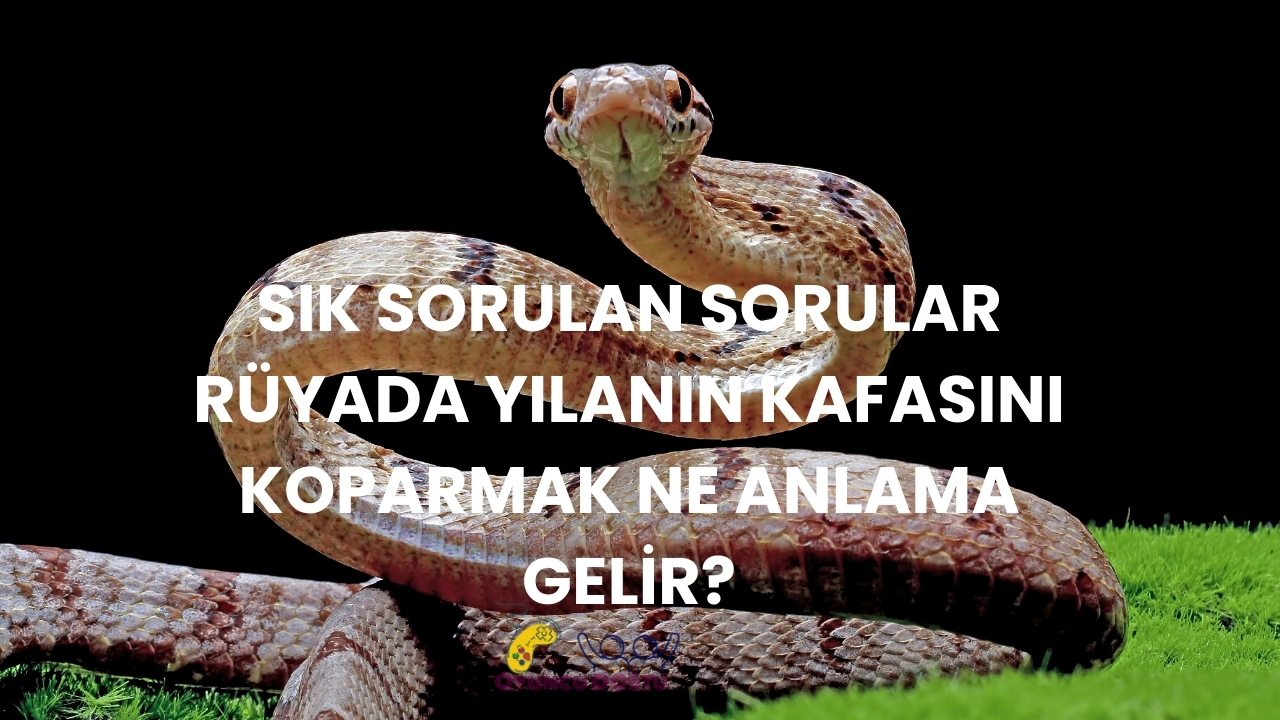 Rüyada Yılanın Kafasını Koparmak Ne Anlama Gelir?