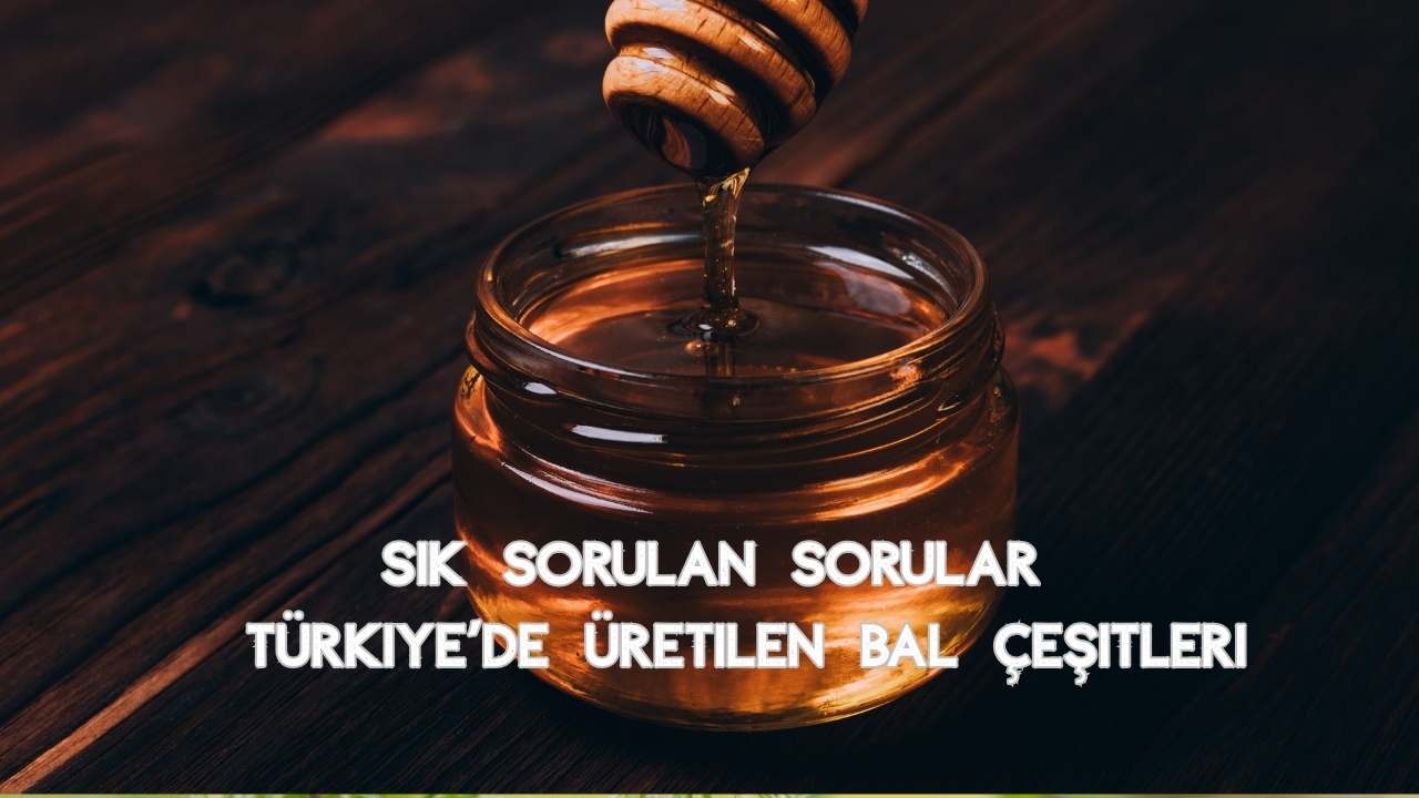 Türkiye'de Üretilen Bal Çeşitleri: En Popüler ve Şifalı Türler