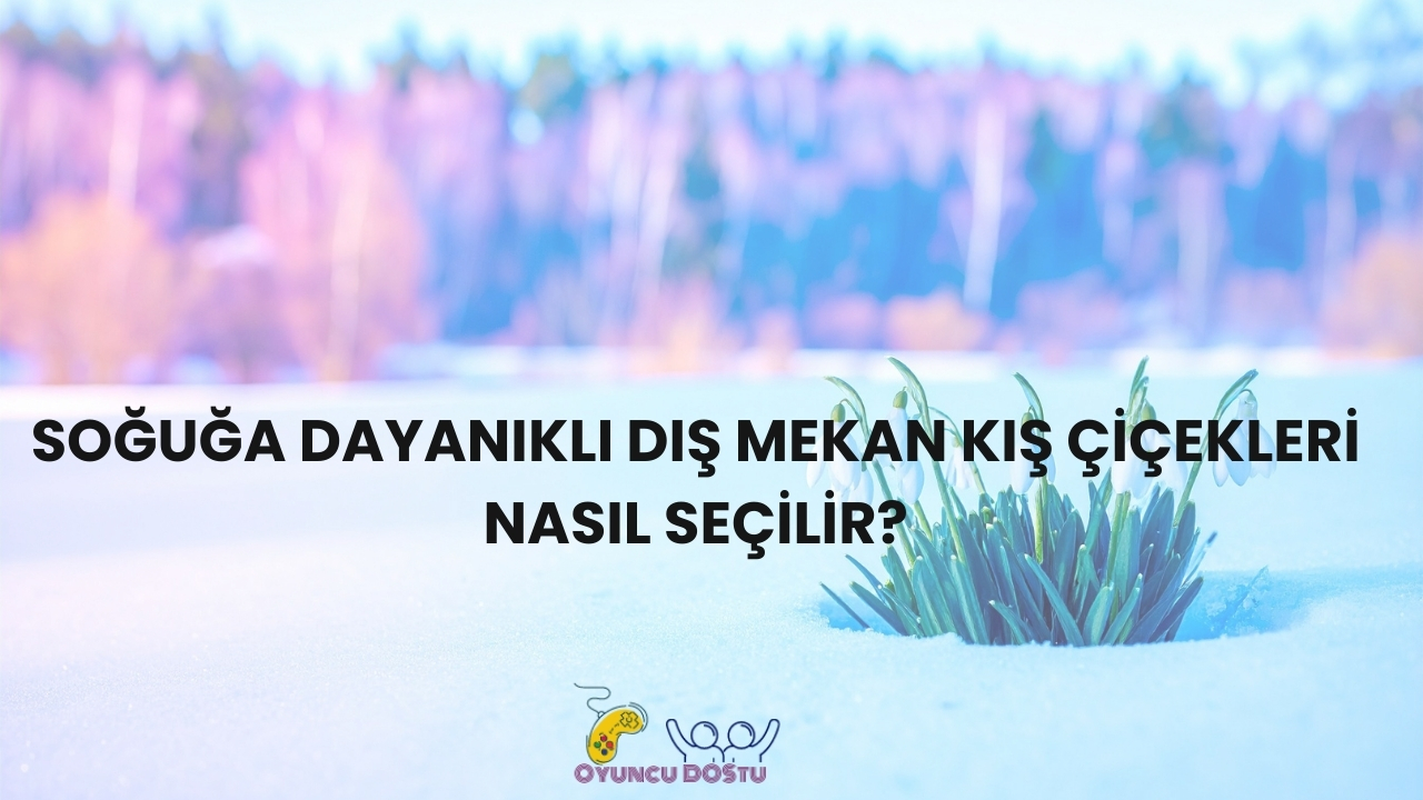 Dış Mekan Kış Çiçekleri Nedir?