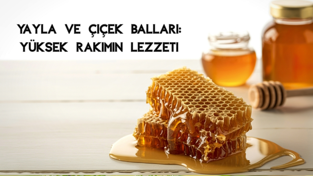 Türkiye'de Üretilen Bal Çeşitleri: En Popüler ve Şifalı Türler