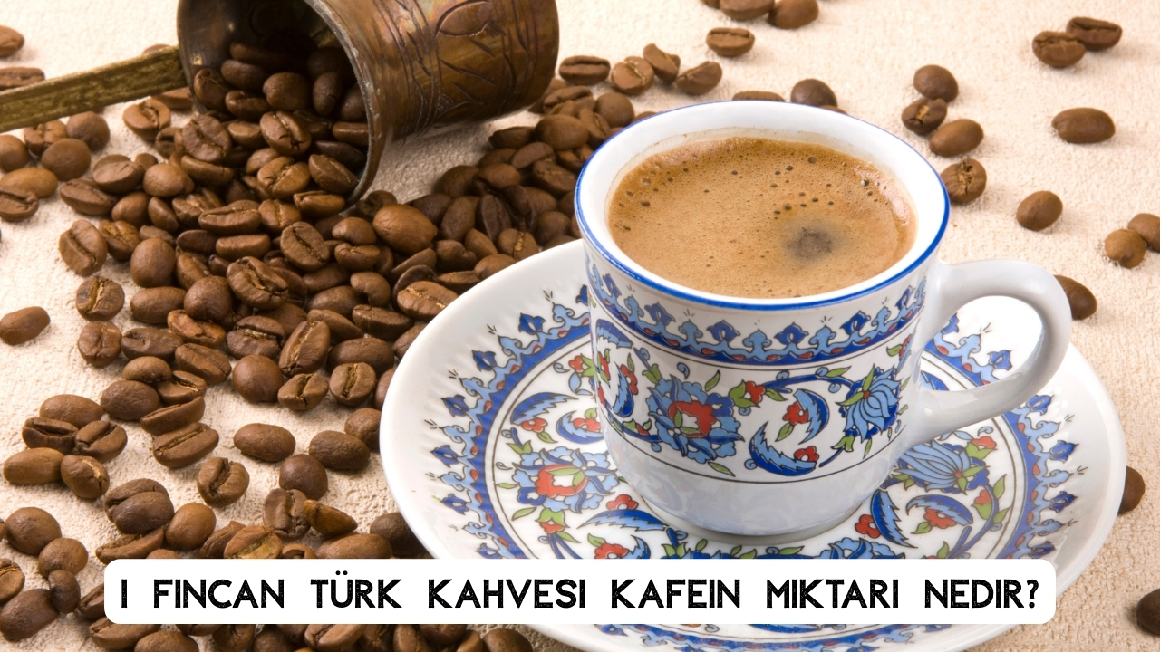 1 Fincan Türk Kahvesi Kafein Hesabı ve Günlük Tüketim Rehberi