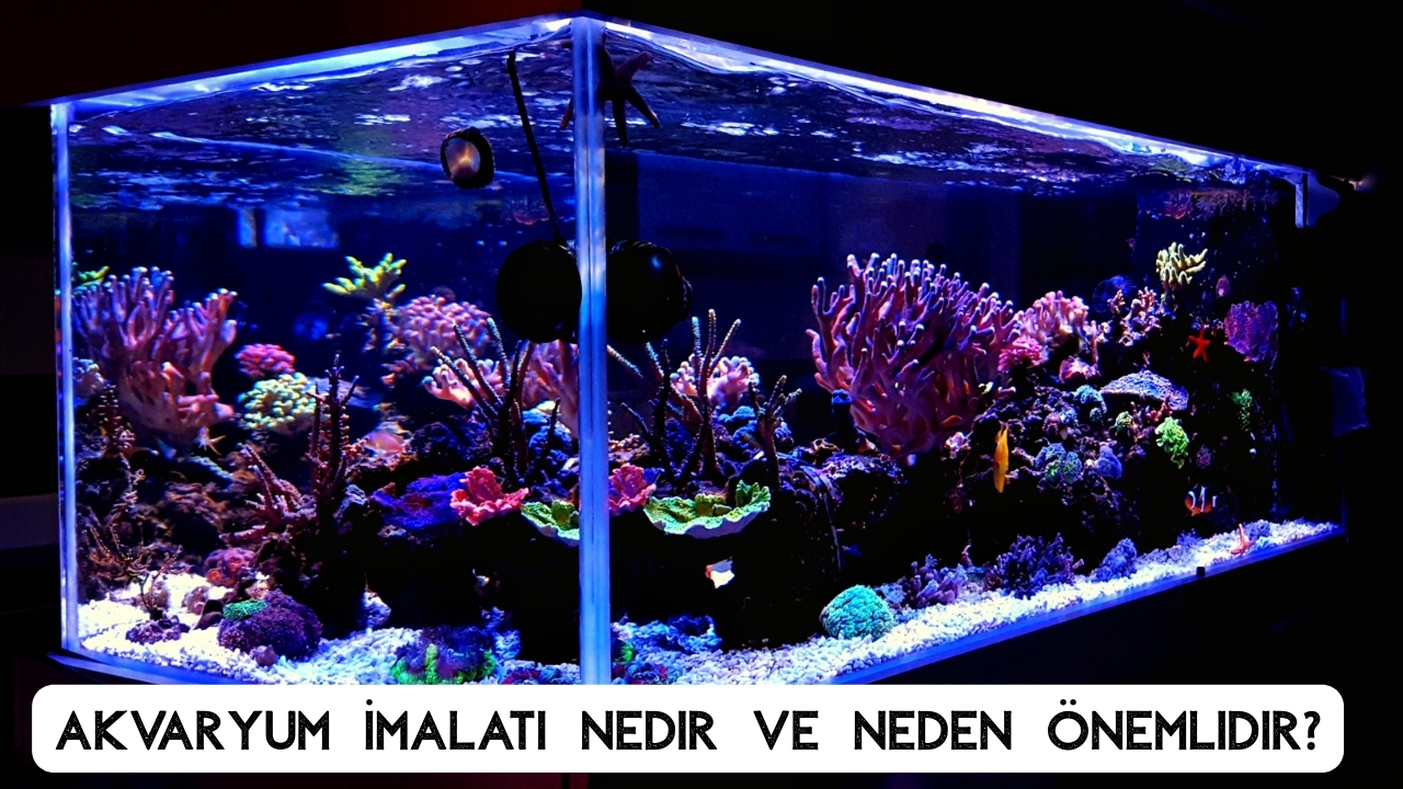 Akvaryum İmalatı: Ölçü, Cam Seçimi ve Profesyonel Yapım Aşamaları