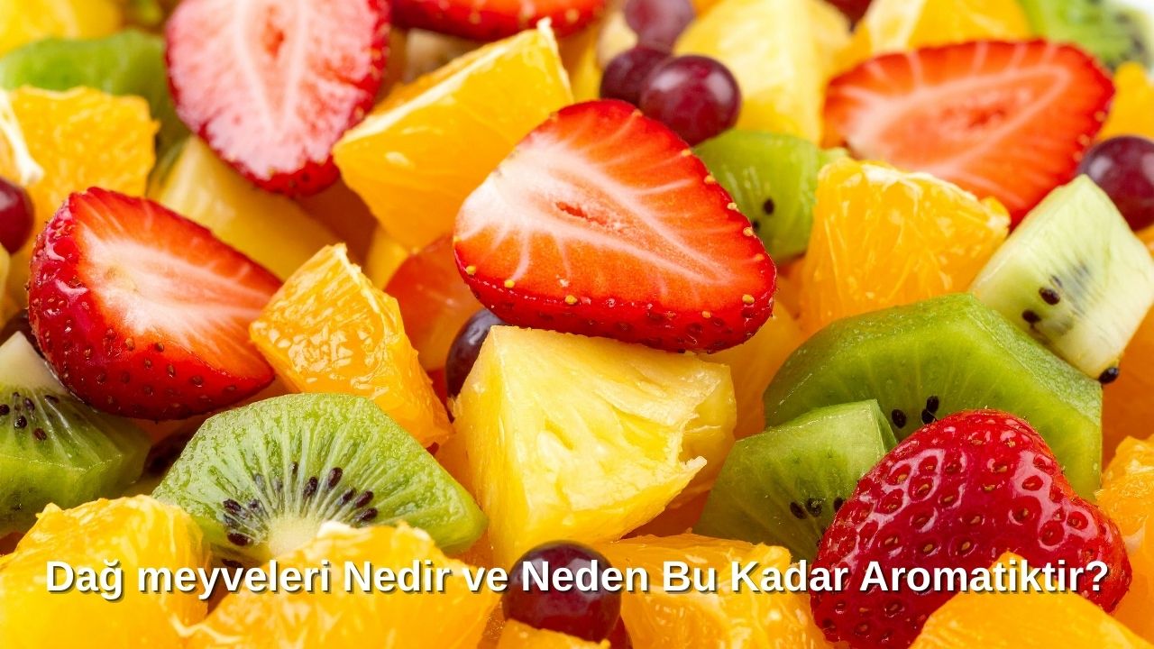 Doğanın En Saf Lezzeti: Dağ Meyveleri