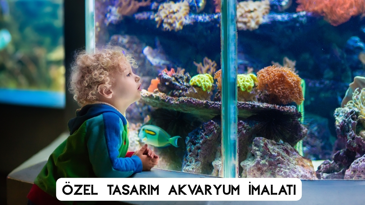 Akvaryum İmalatı: Ölçü, Cam Seçimi ve Profesyonel Yapım Aşamaları
