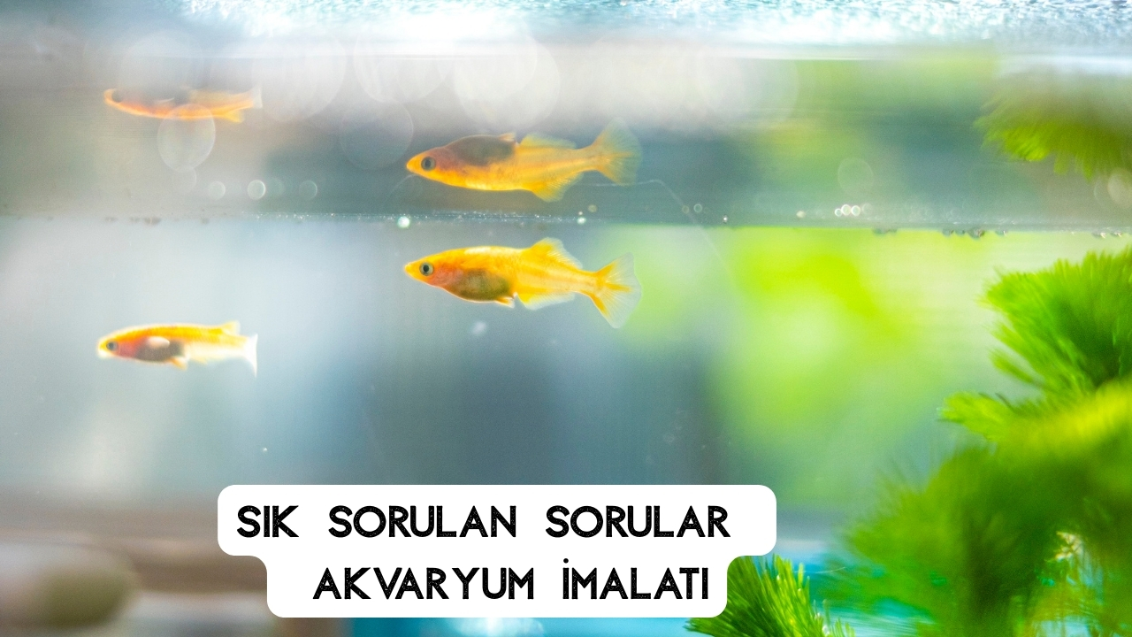 Akvaryum İmalatı: Ölçü, Cam Seçimi ve Profesyonel Yapım Aşamaları