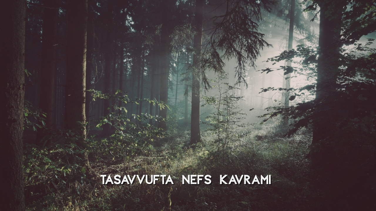 Nefsin Hayvan Sembolleri: Tasavvufta Nefs ve Hayvansal Temsiller